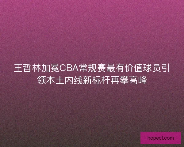 王哲林加冕CBA常规赛最有价值球员引领本土内线新标杆再攀高峰