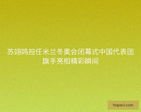 苏翊鸣担任米兰冬奥会闭幕式中国代表团旗手亮相精彩瞬间