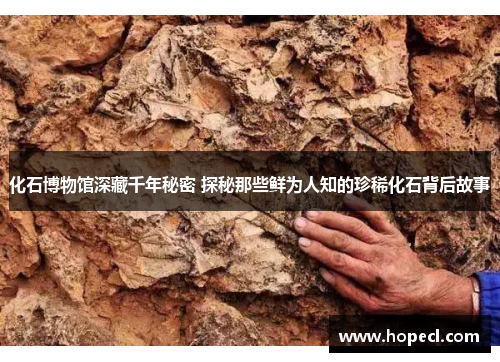 化石博物馆深藏千年秘密 探秘那些鲜为人知的珍稀化石背后故事